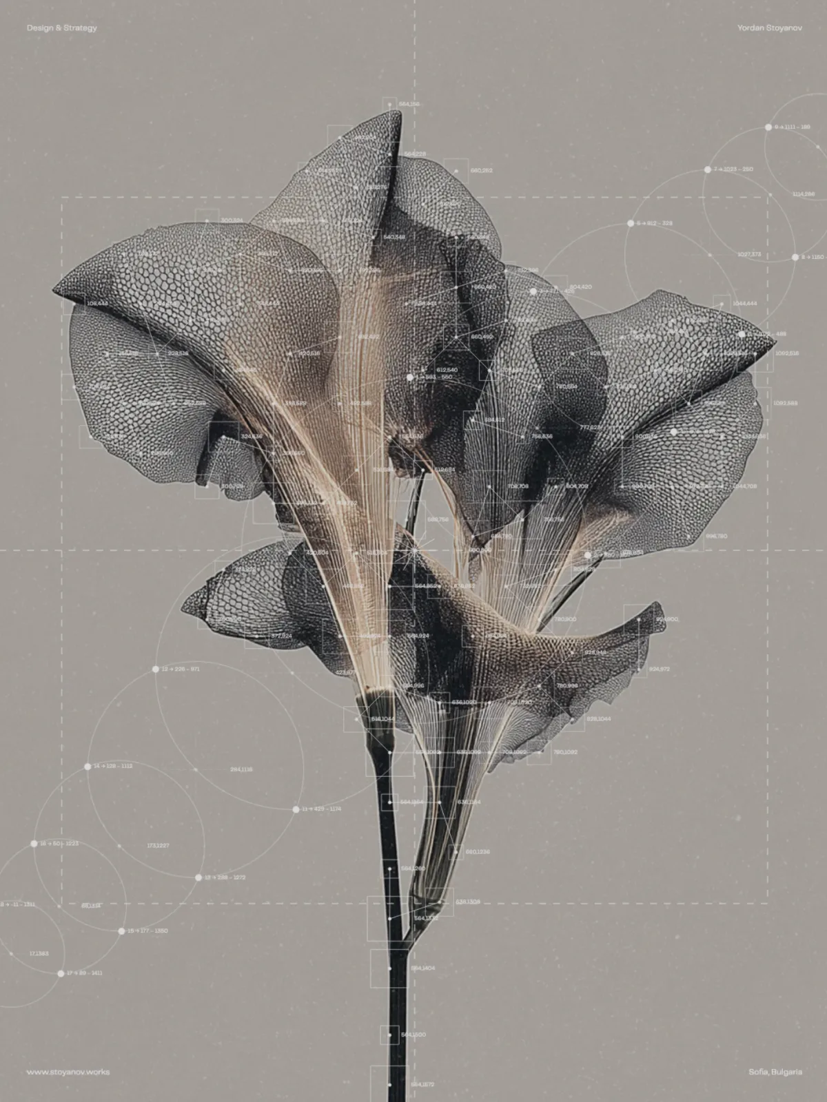 Brand Assets Generator output by Yordan Stoyanov — X-ray flower with circle-mapping coordinates overlaid