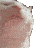 No Brain